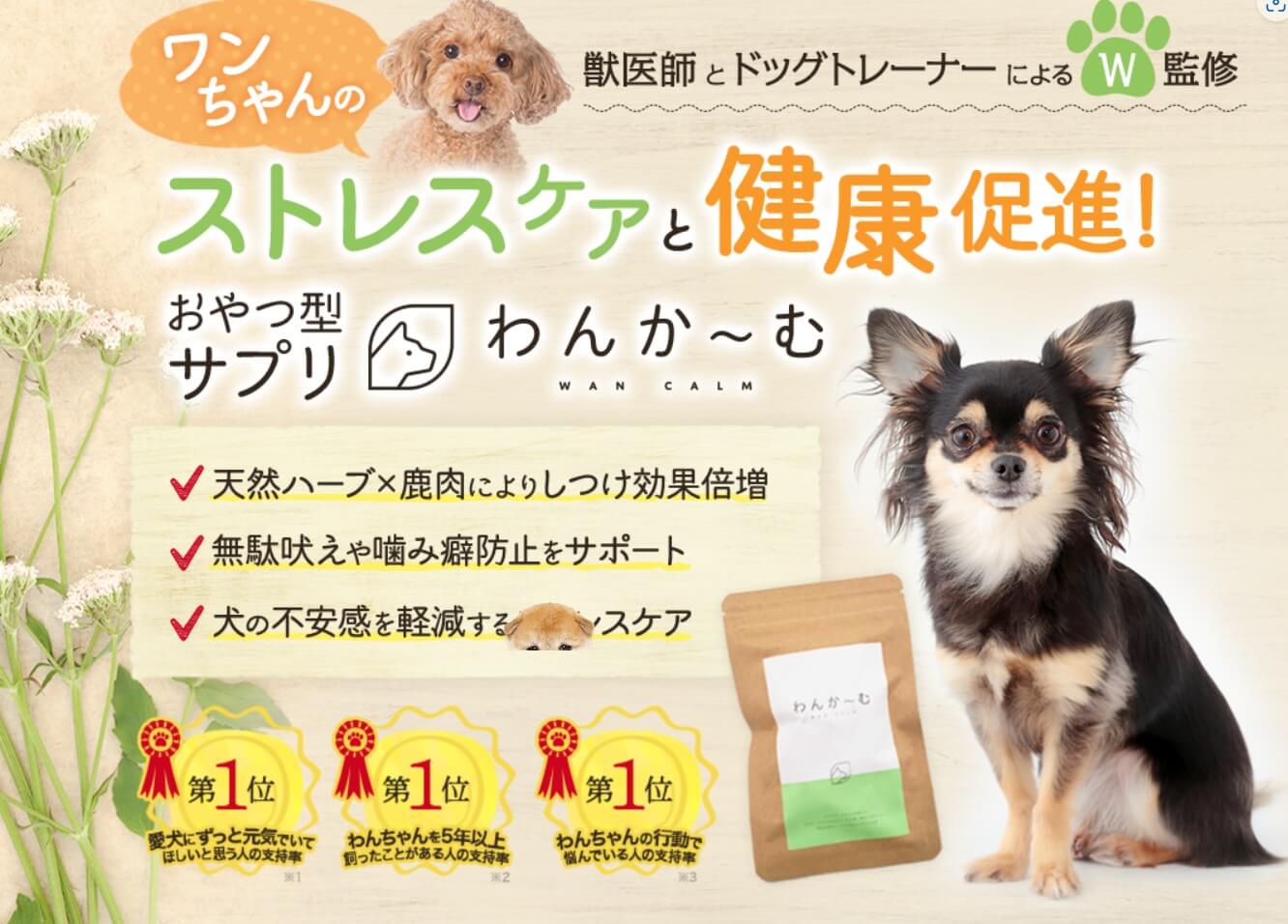 愛犬のしつけに悩んでいる飼い主さんへ朗報です。革新的な犬のしつけ用おやつ「わんかーむ」が、しつけの新しい風をもたらしています。ここでは、この特別なおやつがどのように愛犬のトレーニングに役立ち、購入期間中の無料相談サービスでどのように飼い主さんをサポートするのかを詳しく解説します。